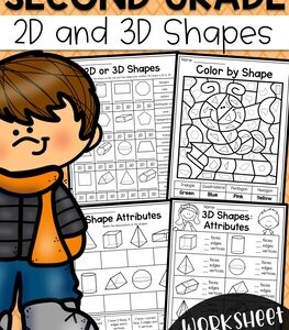 Second Grade 2D and 3D Shapes Worksheets