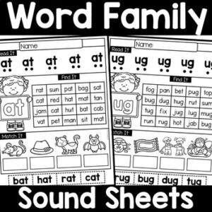 CVC Word Family Worksheets