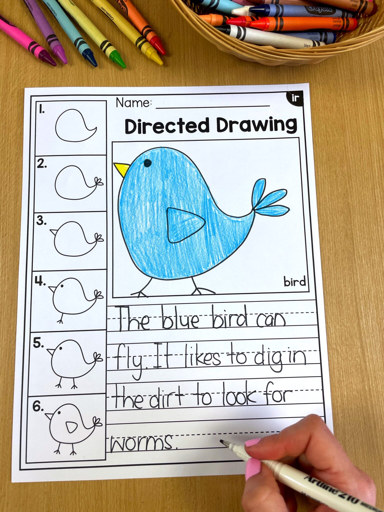 Directed Drawings for Phonics! - My Teaching Pal
