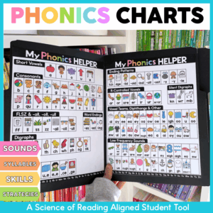 Phonics Reference Charts - Science of Reading File Folder - Sounds, Syllables